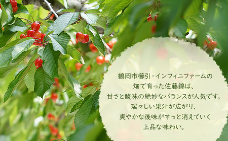 【令和8年産先行予約】 インフィニファームのさくらんぼ「佐藤錦」バラ詰め 500g （2Ｌサイズ）　K-848