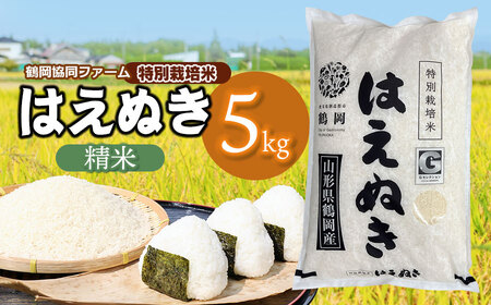 【令和7年産】 特別栽培米はえぬき　精米5kg　(5kg×1袋)　山形県鶴岡産　鶴岡協同ファーム