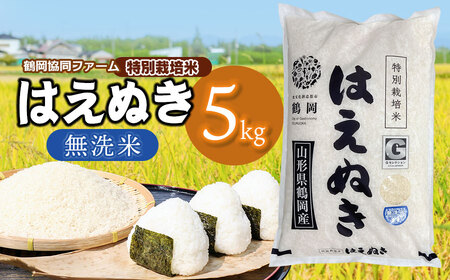 【令和7年産】 特別栽培米はえぬき　無洗米 5kg　(5kg×1袋)　山形県鶴岡産　鶴岡協同ファーム