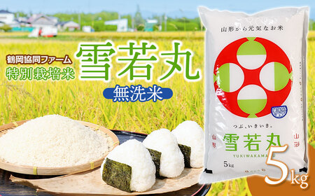 【令和7年産】 特別栽培米雪若丸　無洗米 5kg　(5kg×1袋)　山形県鶴岡産　鶴岡協同ファーム