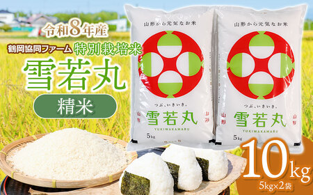 【令和8年産先行予約】 特別栽培米雪若丸 10kg (5kg×2袋) 山形県鶴岡産　鶴岡協同ファーム