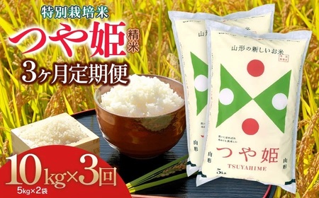 【令和7年産】【3ヶ月定期便】特別栽培米 つや姫 精米10kg×3回 計30kg 山形県 庄内産　米食味鑑定士お薦め