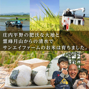 【令和7年産】 山形県庄内産 工藤さんの特別栽培米 つや姫無洗米 10kg (5kg×2袋)【令和8年4月27日~5月3日発送】 山形県鶴岡市 株式会社サンエイファーム