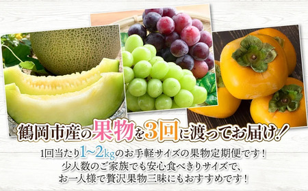 【令和8年産先行予約】鶴岡食べきりフルーツ定期便（3回お届け）　庄内砂丘メロン・シャインマスカット＆ピオーネ・庄内柿 山形県 鶴岡市