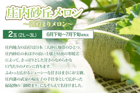 【令和8年産先行予約】鶴岡食べきりフルーツ定期便（3回お届け）　庄内砂丘メロン・シャインマスカット＆ピオーネ・庄内柿 山形県 鶴岡市