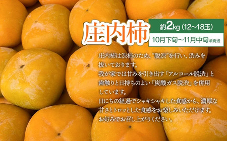 【令和8年産先行予約】鶴岡食べきりフルーツ定期便（3回お届け）　庄内砂丘メロン・シャインマスカット＆ピオーネ・庄内柿 山形県 鶴岡市