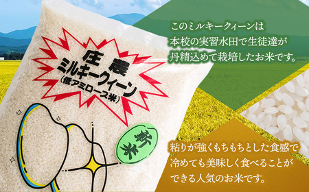 【令和7年産】 山形県立庄内農業高等学校の生徒が栽培したミルキークイーン 精米3kg 山形県鶴岡市