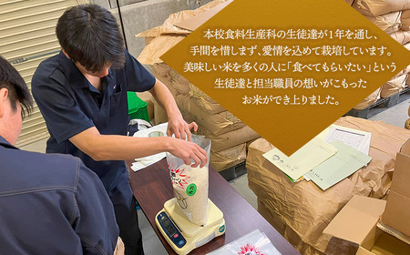 【令和7年産】 山形県立庄内農業高等学校の生徒が栽培したミルキークイーン 精米3kg 山形県鶴岡市