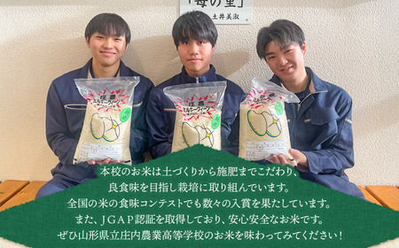【令和7年産】 山形県立庄内農業高等学校の生徒が栽培したミルキークイーン 精米3kg 山形県鶴岡市