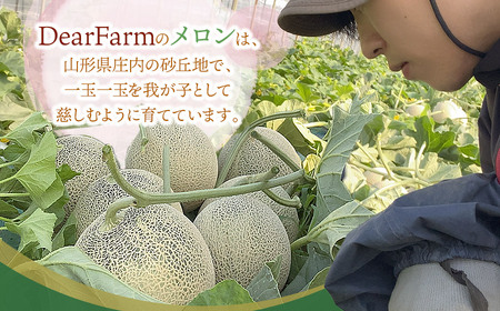 【令和8年産先行予約】 DearFarm砂丘からの贈物 <贈答用アンデスメロン> 2玉(4Lサイズ) 山形県鶴岡市 K-823