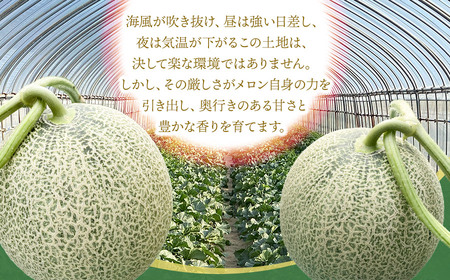 【令和8年産先行予約】 DearFarm砂丘からの贈物 <贈答用アンデスメロン> 2玉(4Lサイズ) 山形県鶴岡市 K-823