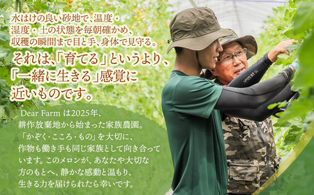 【令和8年産先行予約】 DearFarm砂丘からの贈物 <贈答用アンデスメロン> 2玉(4Lサイズ) 山形県鶴岡市 K-823