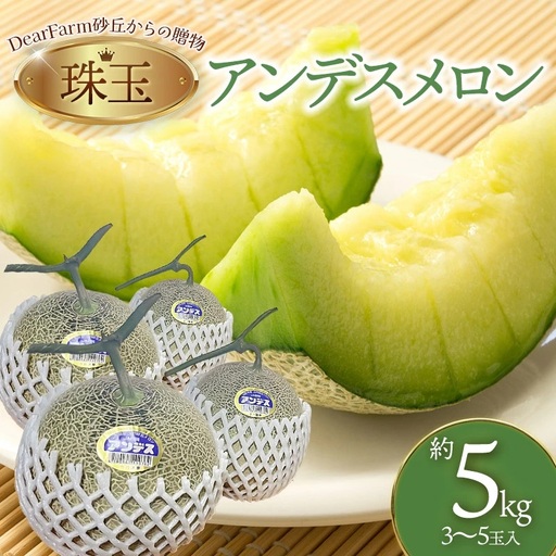 【令和8年産先行予約】 DearFarm砂丘からの贈物 <珠玉アンデスメロン> 約5kg(3~5玉)山形県鶴岡市 K-836