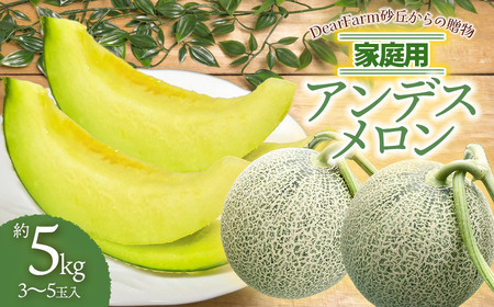 【令和8年産先行予約】　DearFarm砂丘からの贈物　＜家庭用アンデスメロン＞　約5kg（3～5玉）山形県鶴岡市　K-832 6,750円
