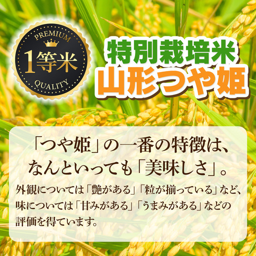 令和7年産】特別栽培米つや姫 精米 10kg (5kg×2袋) 山形県鶴岡市 庄内