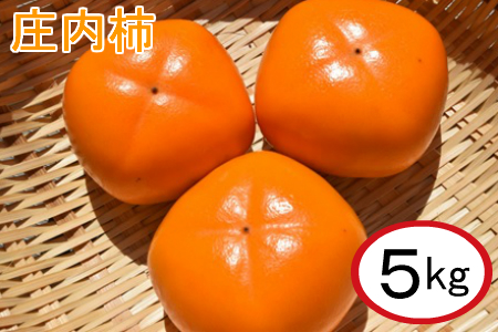 A01-715 庄内柿(5kg)100年の歴史をもつブランド柿 鶴岡・フルーツ・果物