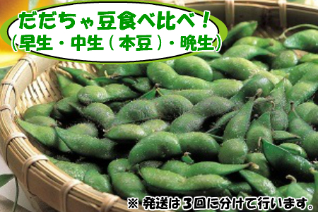 C01-304 【令和3年分先行予約】特産だだちゃ豆食べ比べ!(早生→中生(本豆)→晩生)各種2kg(500g×4袋)(※3回に分けて発送します)合計6kg