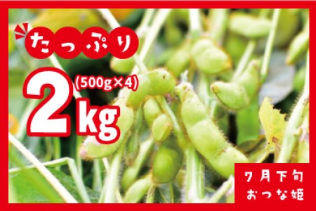 A01 604 令和３年分先行予約 小池喜左衛門ファームのおつな姫 ２kg 500g ４袋 枝豆 山形県鶴岡市 ふるさと納税サイト ふるなび