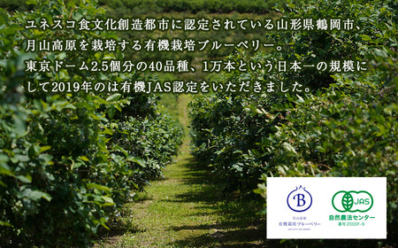 月山高原鈴木農園のブルーベリージャム 4個セット 有機栽培　K-634