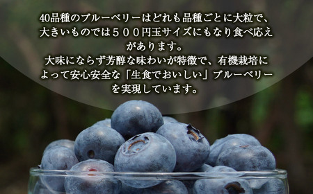 月山高原鈴木農園のブルーベリージュース【無糖】3本セット 有機栽培　K-669