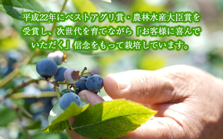 月山高原鈴木農園のブルーベリージュース【無糖】3本セット 有機栽培　K-669