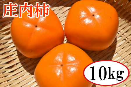 A21-009 【令和3年分先行予約】庄内柿 10kg(5kg×2箱)100年の歴史をもつブランド柿 種無し 鶴岡・フルーツ・果物