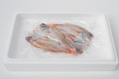 A01-406 庄内浜加工のどぐろ一夜干し2枚セット