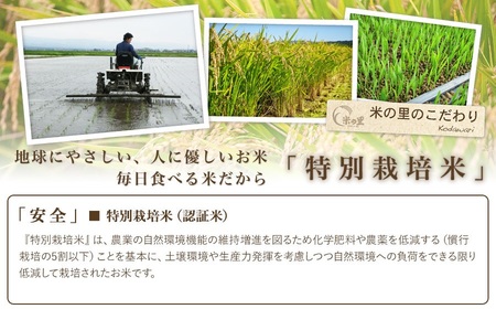 【令和6年産 新米】【6ヶ月定期便】 米の里の特別栽培米 つや姫 精米 6kg(2kg×3袋)×6ヶ月　山形県鶴岡市産 K-663