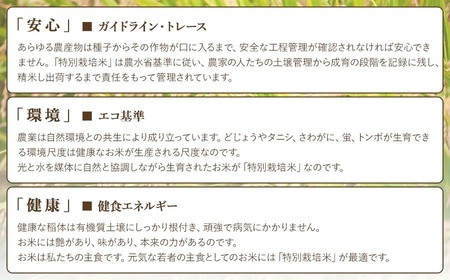 【令和6年産 新米】【6ヶ月定期便】 米の里の特別栽培米 つや姫 精米 6kg(2kg×3袋)×6ヶ月　山形県鶴岡市産 K-663