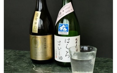 日本酒 コンクール最高金賞・金賞受賞酒セット (720ml×2本) 飲み比べ　K11-798