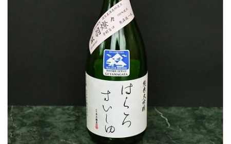 日本酒 コンクール最高金賞・金賞受賞酒セット (720ml×2本) 飲み比べ　K11-798