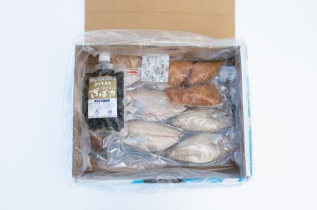 A01-419　日本海Cセット