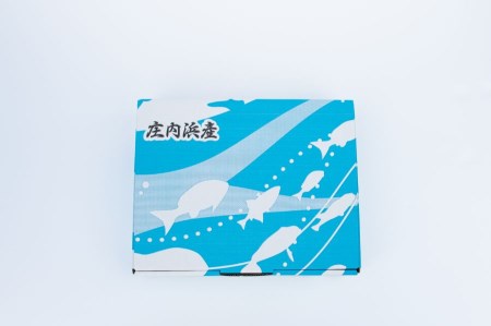 A01-419　日本海Cセット