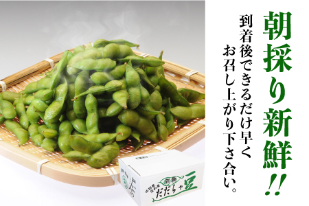 【令和6年産 先行予約】成澤農園の鶴岡特産だだちゃ豆 2kg（500g×4）枝豆　A06-629