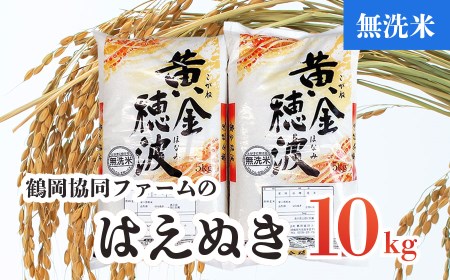 【令和4年産米】はえぬき無洗米10㎏（5kg×2袋）
