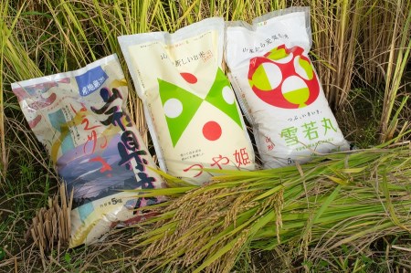 J64-001　【定期便12ヶ月】【令和4年産米】特別栽培米つや姫10kg（5kg×2袋）×12ヶ月