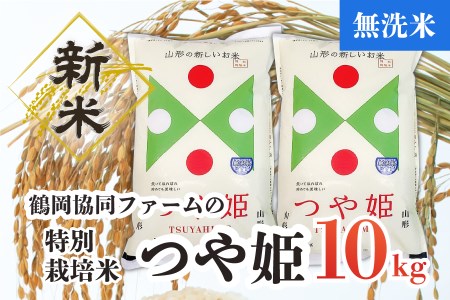 つや姫　山形　10kg  特別栽培米　令和4年産