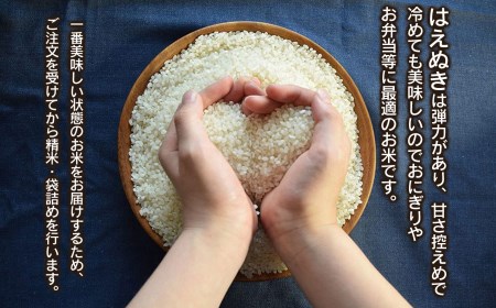 数量限定 【令和7年産】 山形県庄内産 小池半左衛門のお米 はえぬき 精米 10kg (5kg×2袋)　