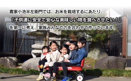 数量限定 【令和7年産】 山形県庄内産 小池半左衛門のお米 はえぬき 精米 10kg (5kg×2袋)　