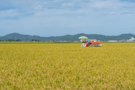 数量限定 【令和7年産】 山形県庄内産 小池半左衛門のお米 はえぬき 玄米 10kg (5kg×2袋)