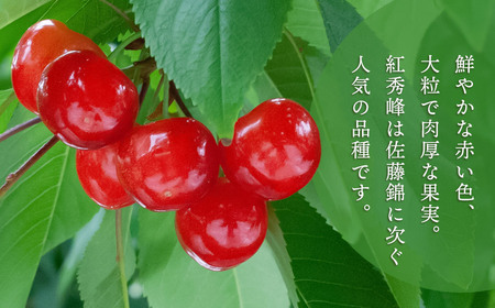 【令和7年産先行予約】こだわりのさくらんぼ「紅秀峰」バラ詰め 500g いまいのさくらんぼ園 K-732