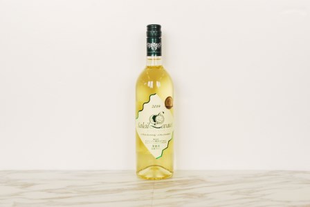 辛口白ワイン2本セット　K25-751