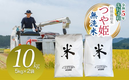 数量限定【令和5年産】 山形県庄内産 小池半左衛門のお米 特別栽培米