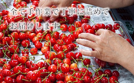 【令和7年先行予約】さくらんぼ「佐藤錦」バラ詰め 1kg（500g×2）山形県鶴岡産 伊藤サクランボ園　K-763