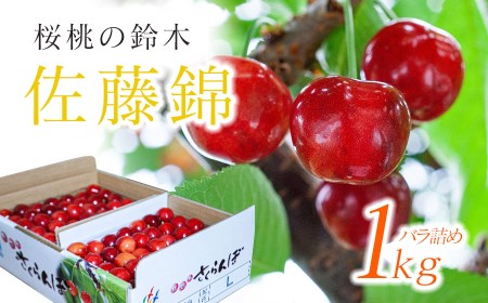 【令和8年産先行予約】さくらんぼ 佐藤錦 バラ 1kg（500g×2）鶴岡市櫛引産 桜桃の鈴木・鶴岡地区物産協同組合 K-867