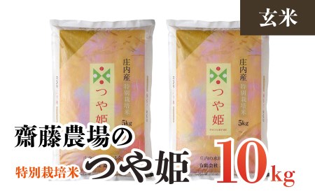 A54-005 【令和4年産】斎藤農場の特別栽培米つや姫玄米10kg（5kg×2