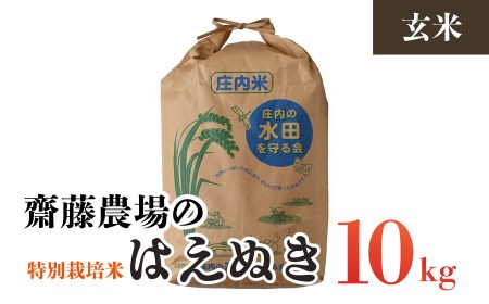 A04-024 【令和4年産】斎藤農場の特別栽培米はえぬき玄米10kg（10㎏×1