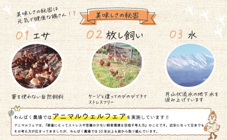 A04-751　太陽の下放し飼いわんぱく卵「10個入×3パック」