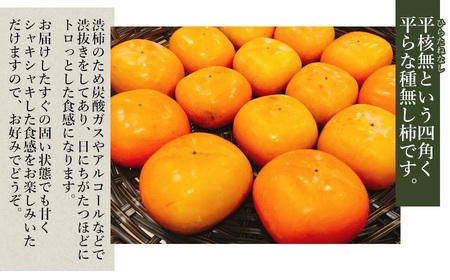 【令和7年産先行予約】 庄内柿 秀品 (L～4Lサイズ)  約10kg (5kg×2箱) 山形県鶴岡市産　株式会社 元青果