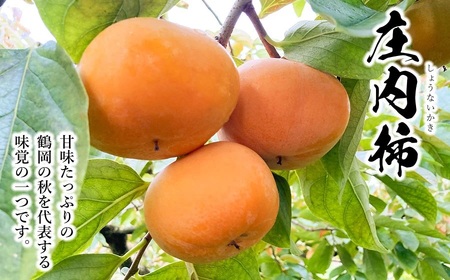 【令和8年産 先行予約】厳選 庄内柿　L 又は 2Lサイズ　約5kg（24～26個）　株式会社 元青果